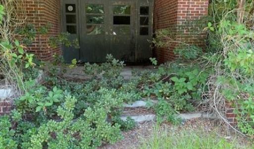 Photo #20 of Windmill, Little Rock, SC