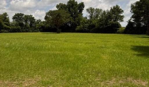 Photo #26 of Windmill, Little Rock, SC