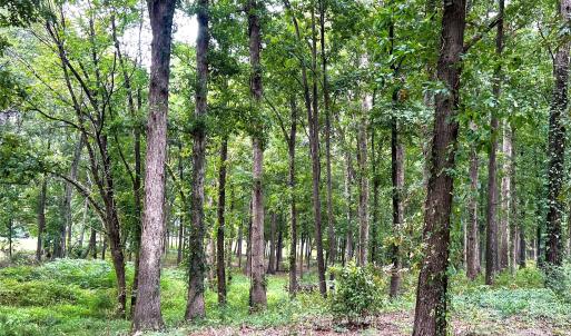 Photo #6 of Sikes Mill, Monroe, NC