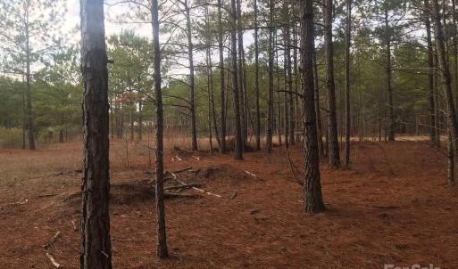 Photo #5 of 1824 Germantown, Dillon, SC