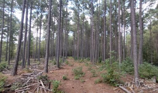 Photo #6 of Lot 109 Riverbluff, Lilesville, NC