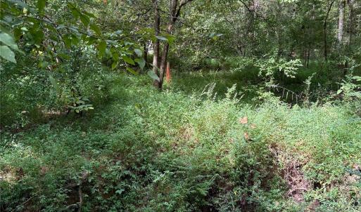 Photo #22 of 3485 Cedar Circle, Lancaster, SC