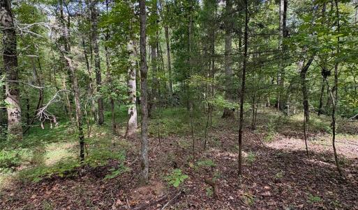 Photo #16 of 3485 Cedar Circle, Lancaster, SC