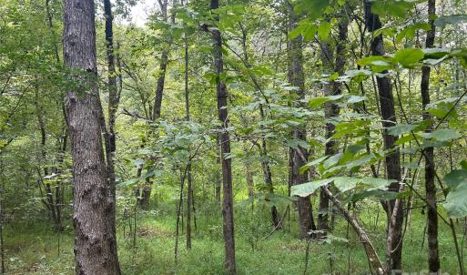 Photo #13 of 3485 Cedar Circle, Lancaster, SC