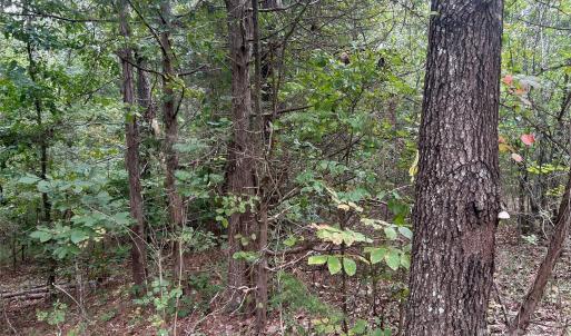 Photo #34 of 3485 Cedar Circle, Lancaster, SC