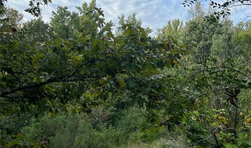 Photo #5 of 3485 Cedar Circle, Lancaster, SC