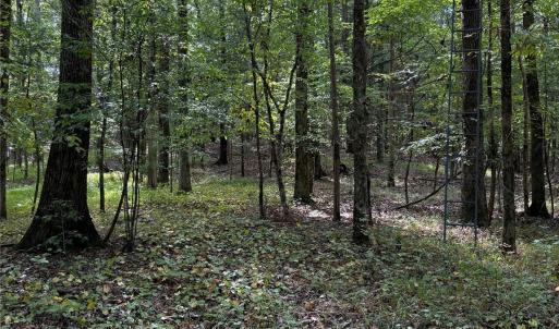 Photo #14 of 3485 Cedar Circle, Lancaster, SC