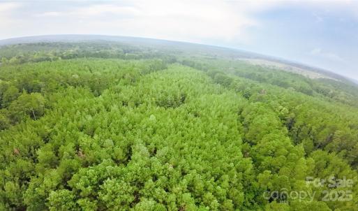 Photo #2 of 101 +/- AC Woods Ferry, Carlisle, SC
