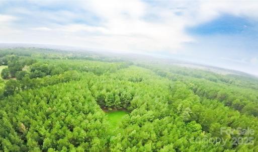 Photo #7 of 101 +/- AC Woods Ferry, Carlisle, SC