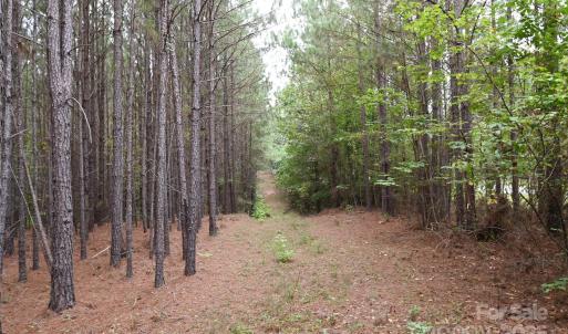 Photo #23 of 101 +/- AC Woods Ferry, Carlisle, SC