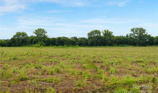 Photo #33 of Milling, Rock Hill, SC