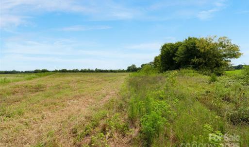 Photo #17 of Milling, Rock Hill, SC