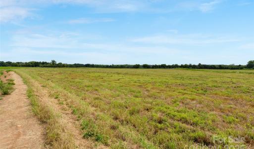 Photo #36 of Milling, Rock Hill, SC