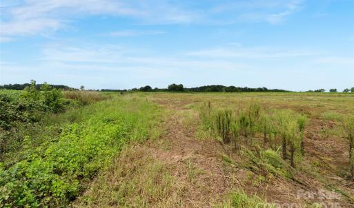 Photo #35 of Milling, Rock Hill, SC