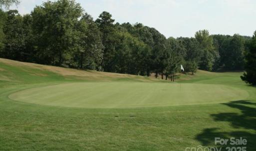 Photo #12 of 11055 Holiday Cove, Tega Cay, SC