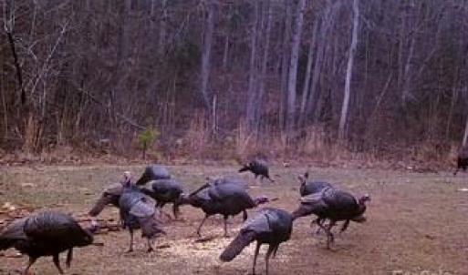 Photo #11 of 1530 Ridgeview, Chester, SC