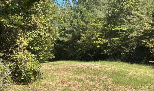 Photo #44 of 1530 Ridgeview, Chester, SC
