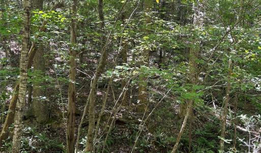 Photo #26 of 1530 Ridgeview, Chester, SC