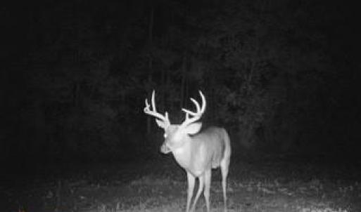 Photo #17 of 1530 Ridgeview, Chester, SC
