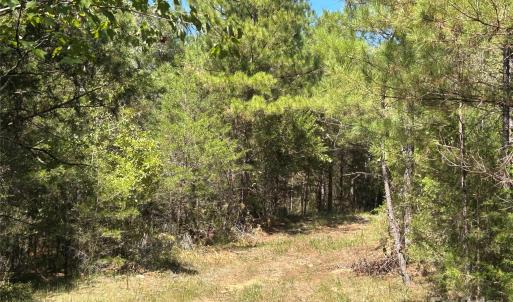 Photo #33 of 1530 Ridgeview, Chester, SC