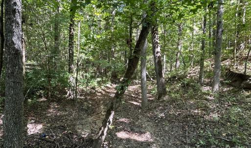Photo #45 of 1530 Ridgeview, Chester, SC