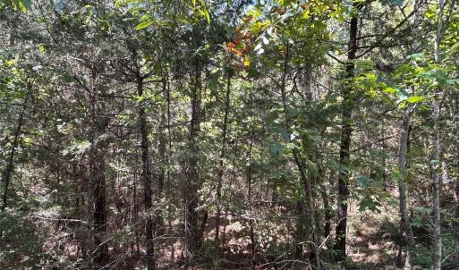 Photo #34 of 1530 Ridgeview, Chester, SC