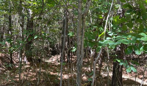 Photo #42 of 1530 Ridgeview, Chester, SC