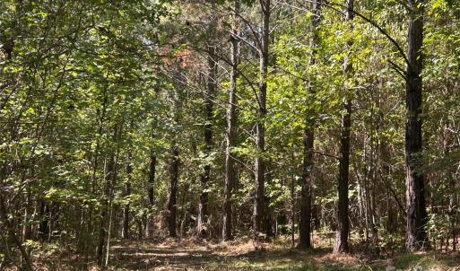 Photo #29 of 1530 Ridgeview, Chester, SC