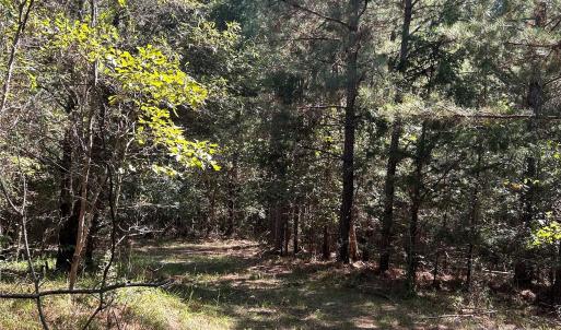 Photo #41 of 1530 Ridgeview, Chester, SC