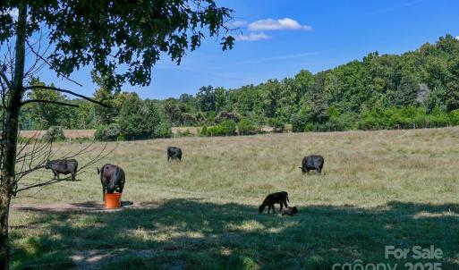 Photo #3 of 3539 Highway 97, Sharon, SC