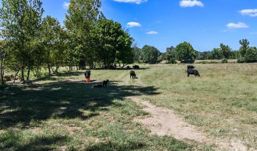 Photo #5 of 3539 Highway 97, Sharon, SC