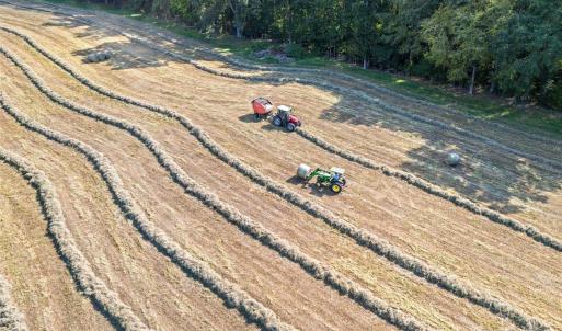 Photo #15 of 3539 SC Hwy 97, Sharon, SC