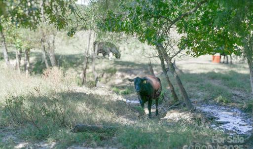 Photo #6 of 3539 SC Hwy 97, Sharon, SC