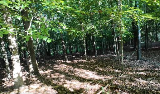 Photo #8 of 3943 Walker, Rock Hill, SC