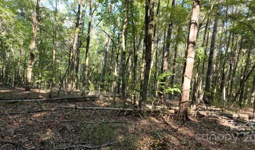 Photo #5 of 3943 Walker, Rock Hill, SC