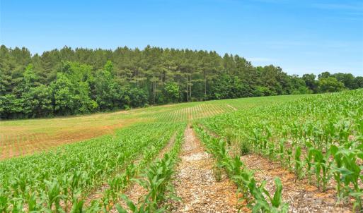 Photo #2 of Lucy Short Cut, Marshville, NC