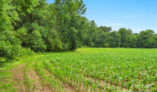 Photo #1 of Lucy Short Cut, Marshville, NC