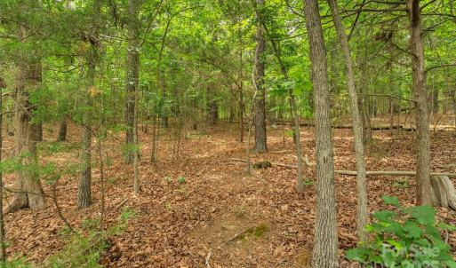 Photo #18 of Lucy Short Cut, Marshville, NC