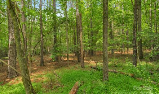 Photo #14 of Lucy Short Cut, Marshville, NC