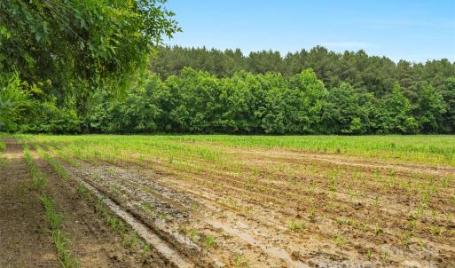 Photo #11 of Lucy Short Cut, Marshville, NC