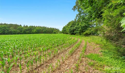 Photo #24 of Lucy Short Cut, Marshville, NC