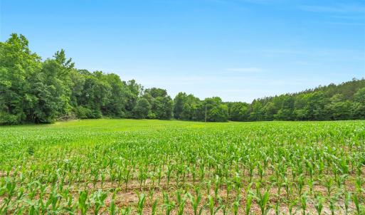 Photo #3 of Lucy Short Cut, Marshville, NC