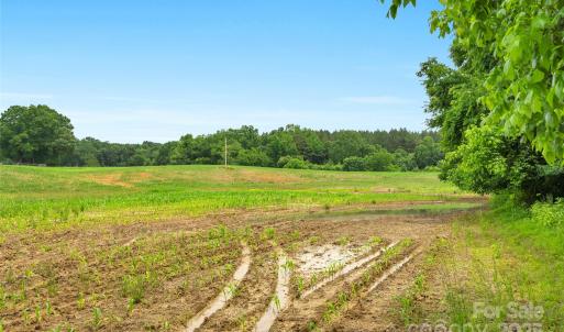 Photo #9 of Lucy Short Cut, Marshville, NC