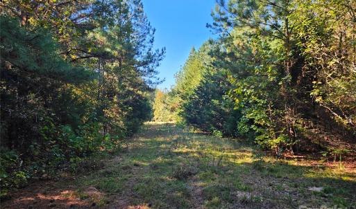 Photo #4 of 5311 Lancaster, Fort Lawn, SC