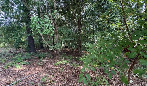 Photo #5 of James Hamilton, Monroe, NC