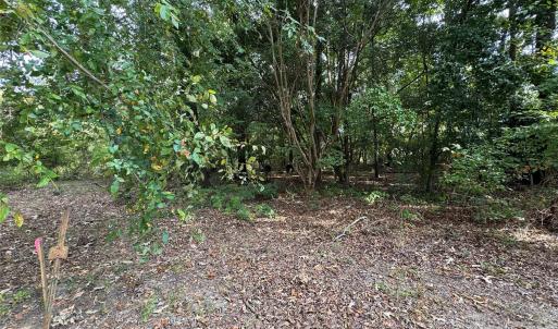 Photo #12 of James Hamilton, Monroe, NC