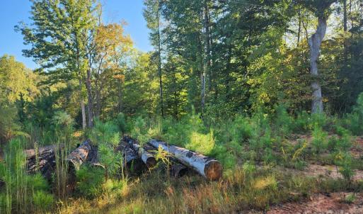 Photo #7 of Cross Creek Estates, Lancaster, SC