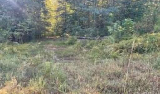 Photo #3 of Cross Creek Estates, Lancaster, SC