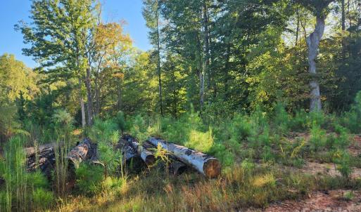 Photo #6 of Cross Creek Estates, Lancaster, SC