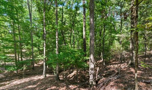 Photo #32 of 6860 Pine Moss, Lake Wylie, SC